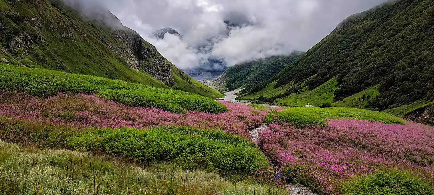 Valley of Flowers Trek   